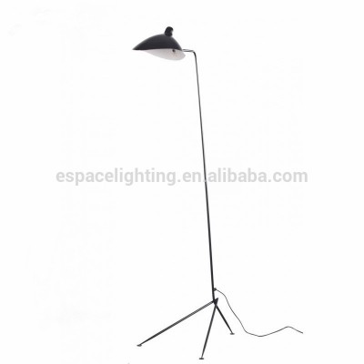 Modern Decorative Floor Lamp